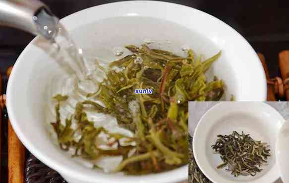 春芽普洱茶头：品味古树韵味，探究冲泡技巧与健益处