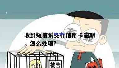 交行信用卡逾期被怎么办：处理步骤与建议