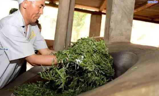 探索老班章茶的独特风味：历、 *** 工艺和品饮技巧的全面解析