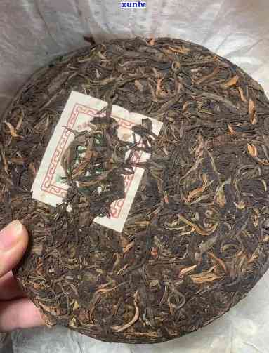 勐海班章茶区老树圆茶，直供新茶批发，限时促销优价