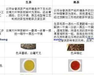 探究普洱茶中石子的成分及其对饮用的影响：能否正常饮用？