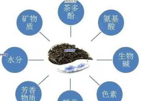 探究普洱茶中石子的成分及其对饮用的影响：能否正常饮用？