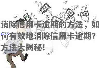 信用卡逾期被取消后应如何处理？如何挽回信用、重建信用记录及解决还款问题