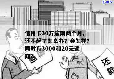 信用卡逾期30万还不起，怎么办？请提供相关建议。