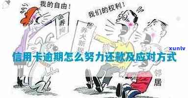 信用卡逾期原因全面解析：病情影响还款能力如何应对？