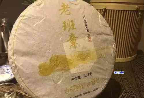 国内顶级老班章茶楼一览：品味普洱茶的艺术与魅力