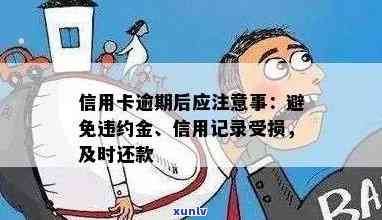 信用卡逾期还款全攻略：如何避免罚息、恢复信用记录及解决逾期问题