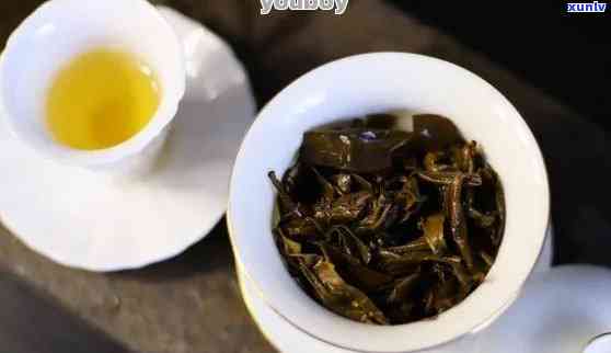 普洱是绿茶还是黑茶好：探究普洱茶的分类及口感特点