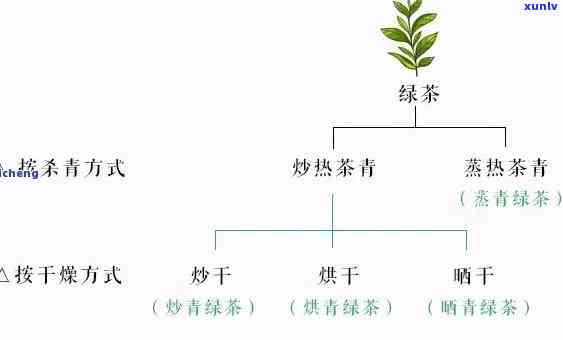 普洱为何是绿茶味道