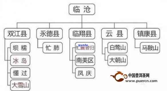 云南普洱绿茶的主要产区有哪些？六大茶山产地解析