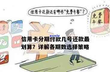 信用卡逾期利息处理策略：如何避免分期困境