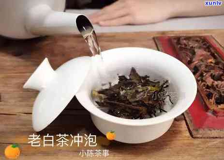 天喝绿茶还是普洱