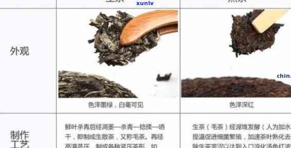 班章茶：熟茶与生茶的区别及其特点解析，让你一目了然！