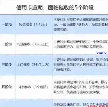 逾期15天：中信信用卡还款处理关键，了解后果影响及联系方式