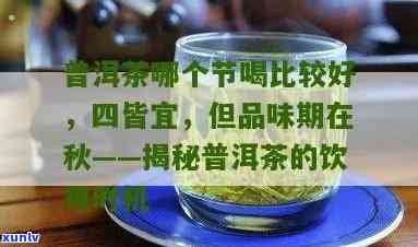 普洱绿茶饮用节：哪个度最适宜品饮普洱绿茶？