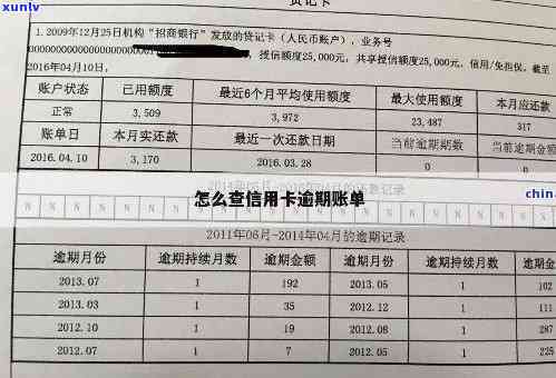 信用卡逾期账单查询全攻略：如何获取详细信息并解决问题