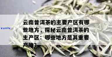 云南特色茶叶：普洱茶的产地与品种详解