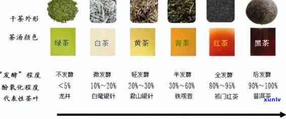 普洱茶的分类：属于绿茶还是其他类型的茶叶？解答你对普洱茶种类的所有疑问