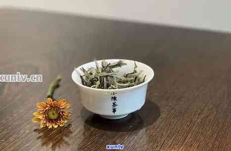 普洱茶与绿茶混合泡饮的可行性及注意事项：如何正确搭配普洱和绿茶？