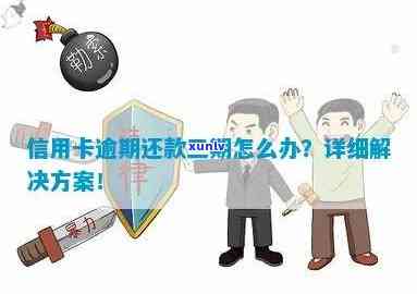 信用卡逾期还款防止第三方提成：策略与 *** 