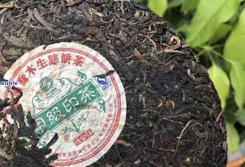 南峤茶厂2006年班章：品质保证，传承经典，一窥中国优质茶叶的魅力与价值