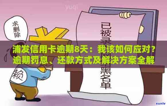 信用卡分期还款逾期后果及解决方案，让你了解完整的还款过程