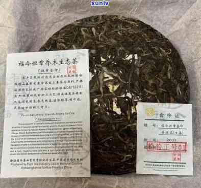 老班章古树春茶：品质越，价格实，批发货源尽在