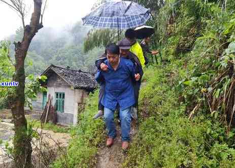 雷达山普洱茶口感特点、产地、价格及档次，属于哪个茶区？