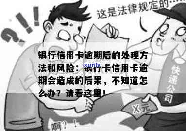 新标题建议： 被盗信用卡信息后如何处理逾期还款问题及相关风险防范措