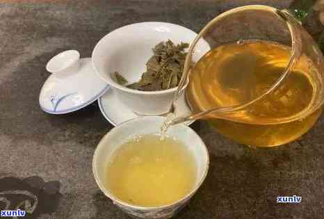 老班章茶的品鉴与独特冲泡技巧：揭示其深厚的普洱茶文化底蕴