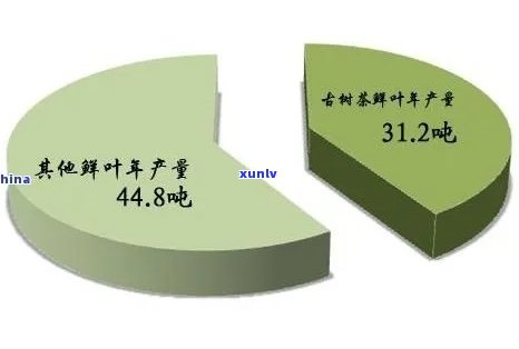 2007年老班章古树茶的市场价格分析及批发指南