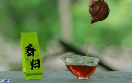 花香醇与普洱韵味的完美融合：探索泡茶新体验