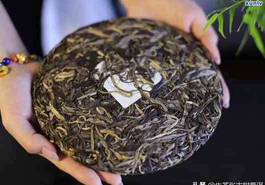 深入解析老班章熟茶的独特风味、口感与普洱茶功效