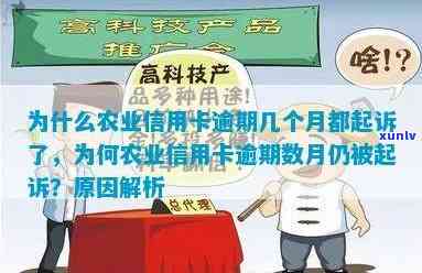 农业信用卡逾期数月未还款，银行为何采取起诉措？