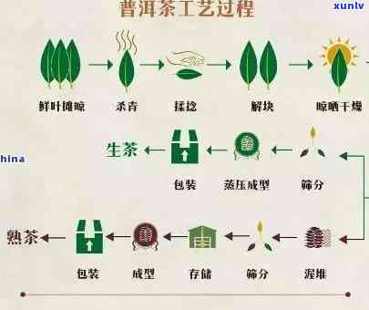 普洱香型茶叶：品种、特点、 *** 工艺以及饮用方式的全面指南