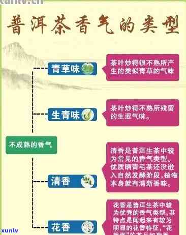 普洱香型茶叶：品种、特点、 *** 工艺以及饮用方式的全面指南