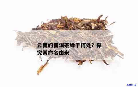 普洱茶叶的产地及其含义：云南著名茶叶普洱的名字由来及其另一种称。