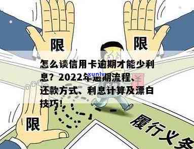 2022年信用卡逾期还款政策详解：持卡人必知流程与步骤