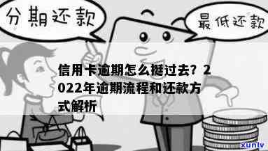 2022年信用卡逾期还款政策详解：持卡人必知流程与步骤