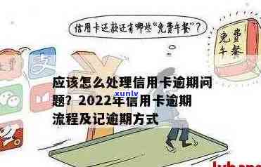 '十大名山名寨普洱茶有哪些： 云南古树普洱茶行情及口感特点排行'