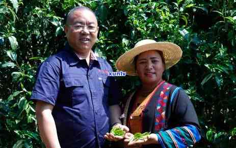 中茶老班章昆明茶厂：品质越，传承经典