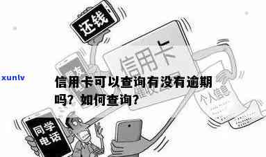 如何查询信用卡逾期信息？全面指南解决您的问题！