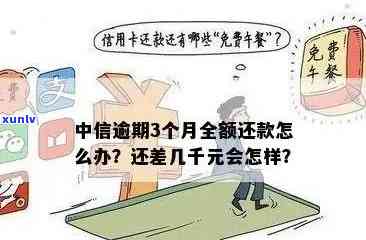 '闲鱼普洱茶那么便宜是真的吗？能买吗？'。