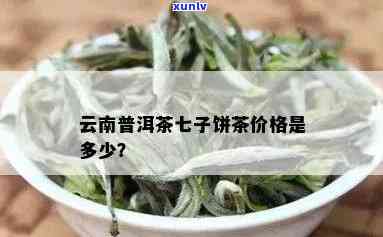 云南普洱七子茶价格表：云海复兴号，七子饼茶，熟茶饼与生茶详细介绍