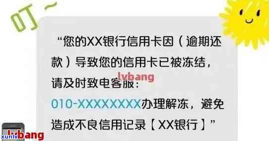 贵妃翡翠手镯多少钱一条：价格、克重与款式解析