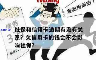 欠信用卡钱能买社保吗？会影响吗？会不会被找到？