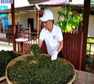 熟普洱茶茶化石有什么功效：化石普洱茶熟茶的功效是什么？