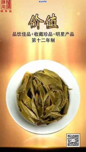 2019年陈升老班章普洱茶：生茶升号价格分析与品鉴指南