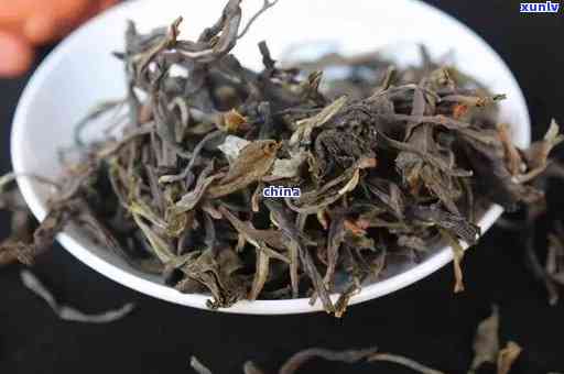 全面解析：老班章木茶的品种特点、 *** 工艺以及是否属于普洱茶？