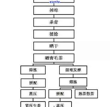 普洱茶的 *** 工艺流程：从原料到成品的全方位解析